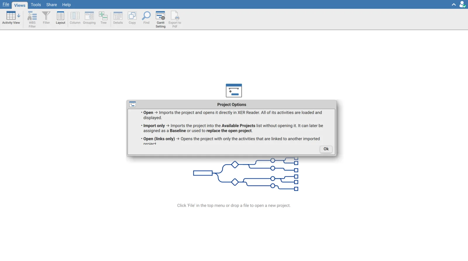 Information panel in the Project Options dialog explaining Open, Import only, Open links only and Do not import